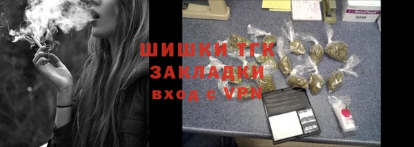 гидропоника Пересвет
