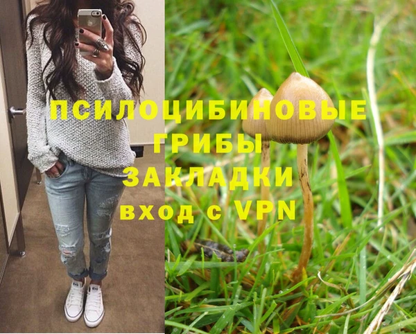 винт Покров