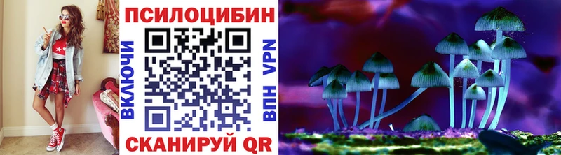 omg как зайти Волжск Галлюциногенные грибы мицелий