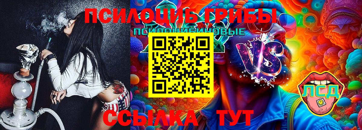 Псилоцибиновые грибы Psilocybine cubensis Волжск